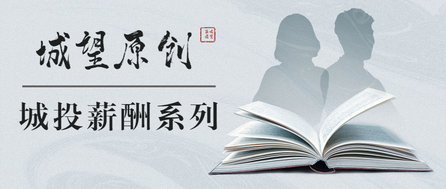 原創(chuàng)丨【城投薪酬系列】專(zhuān)題六：特殊人才協(xié)議工資制薪酬設(shè)計(jì)思路