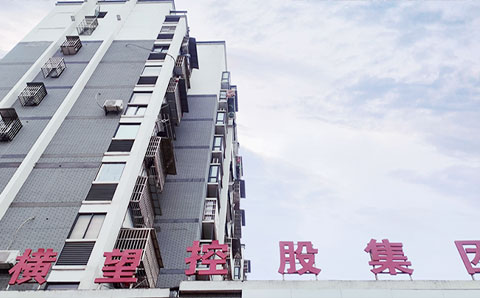 獻(xiàn)策“十四五”規(guī)劃編制，助力橫望集團(tuán)高質(zhì)量發(fā)展