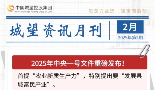 城望資訊2月刊丨中央一號文件重磅發(fā)布！全國首單數(shù)據(jù)資產(chǎn)作價入股落地？