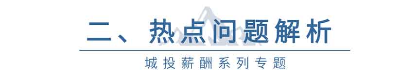 城投薪酬系列 2 城投薪酬系列 2