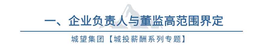 城投薪酬系列 城投薪酬系列